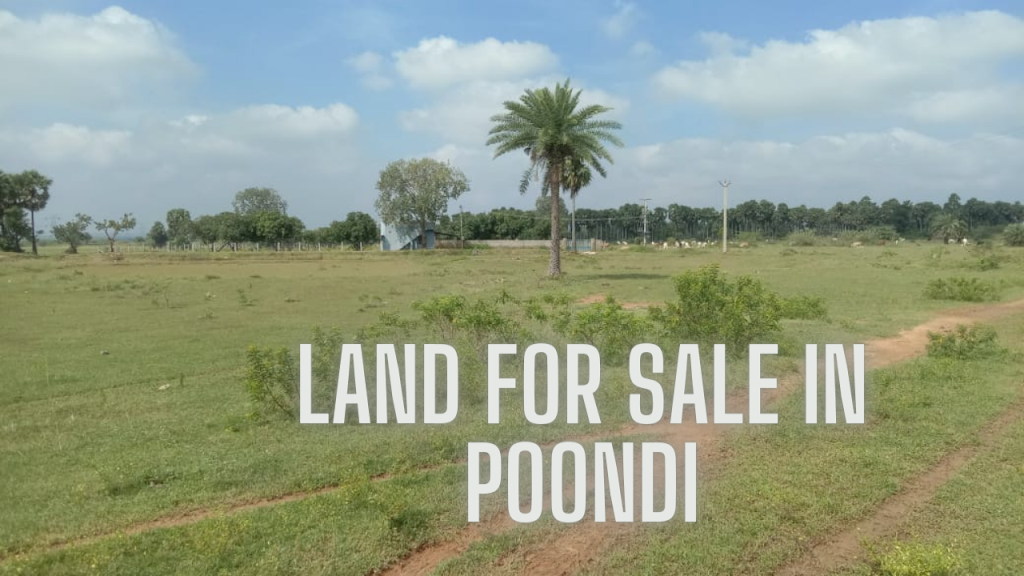 Agriculture land for sale in Poondi,